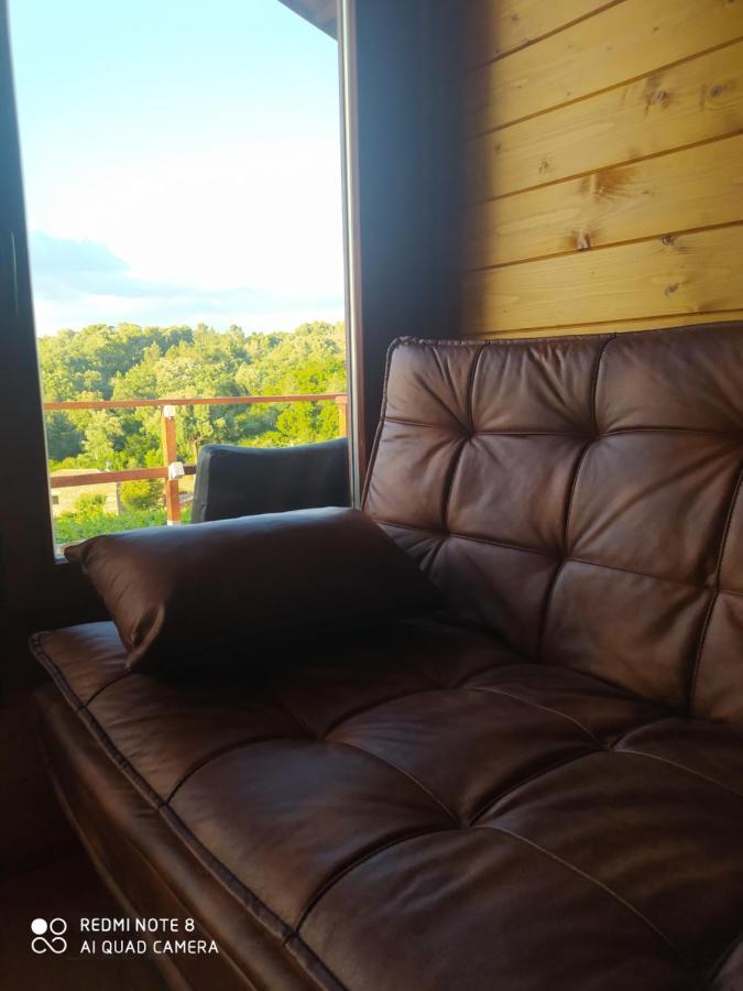 Casa Das Vinhas Velhas By Casa Do Poco Peso da Régua Екстериор снимка