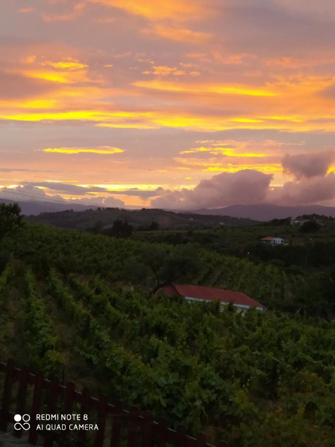 Casa Das Vinhas Velhas By Casa Do Poco Peso da Régua Екстериор снимка