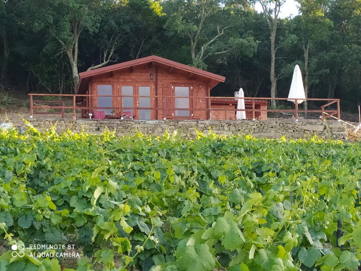 Casa Das Vinhas Velhas By Casa Do Poco Peso da Régua Екстериор снимка