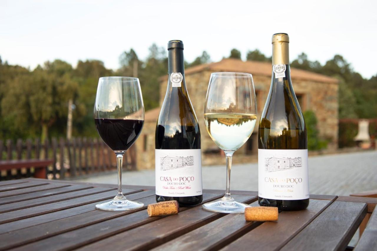 Casa Das Vinhas Velhas By Casa Do Poco Peso da Régua Екстериор снимка
